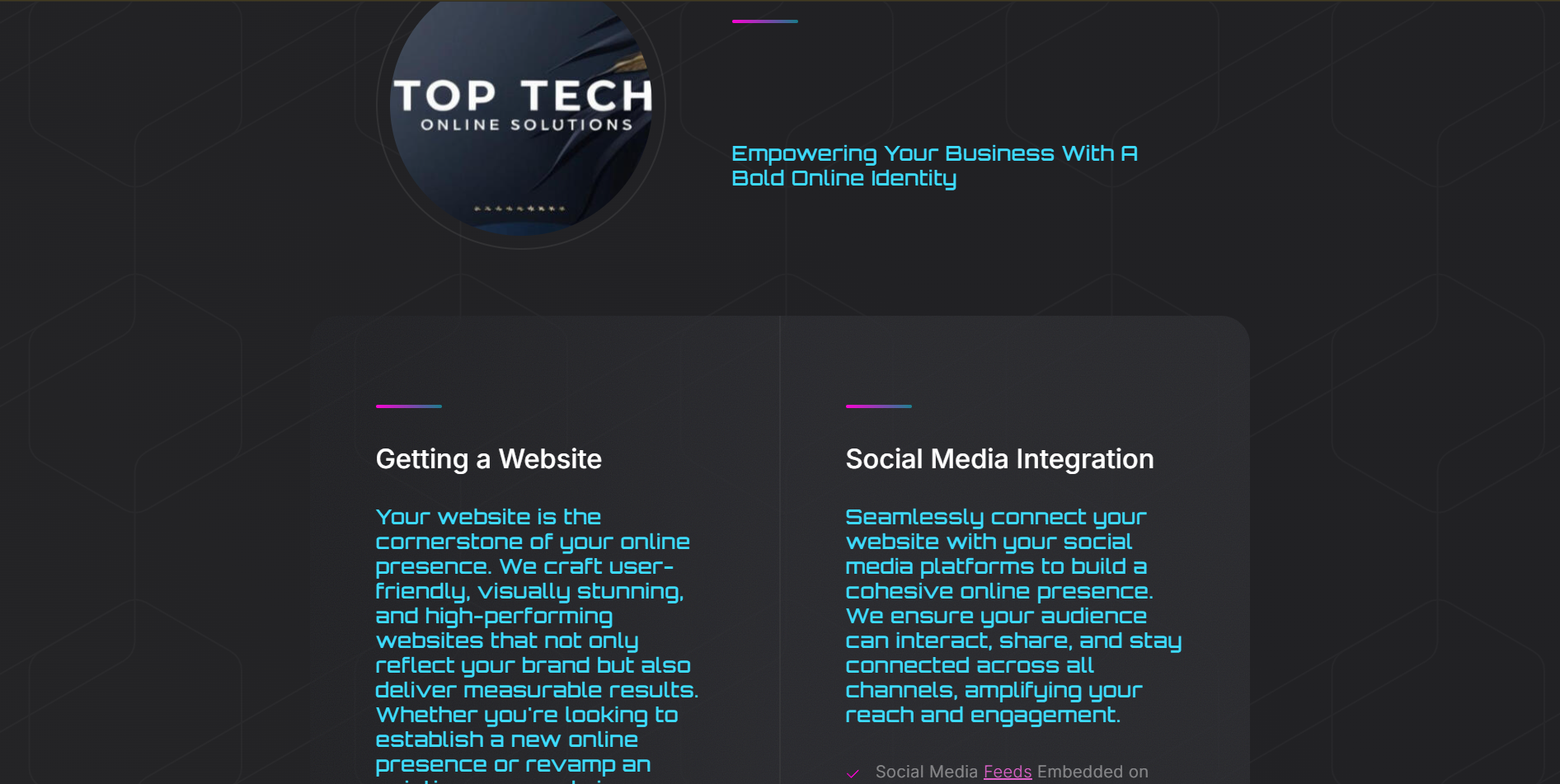 TP Tech Solution Website